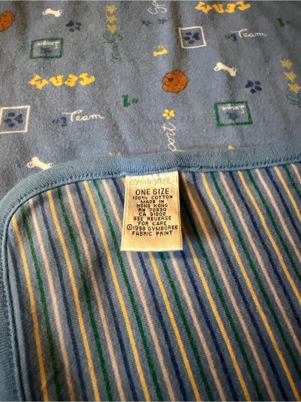 Vintage 1998 Gymboree “Fall Fun Sports Team” Baby Blanket